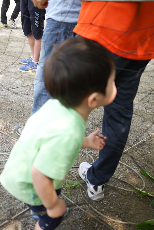 P1230776.jpg