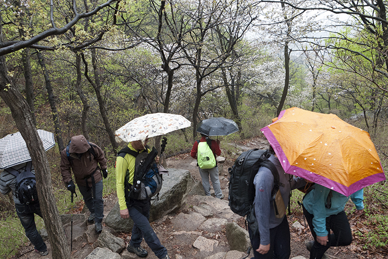 P1270518-1.jpg