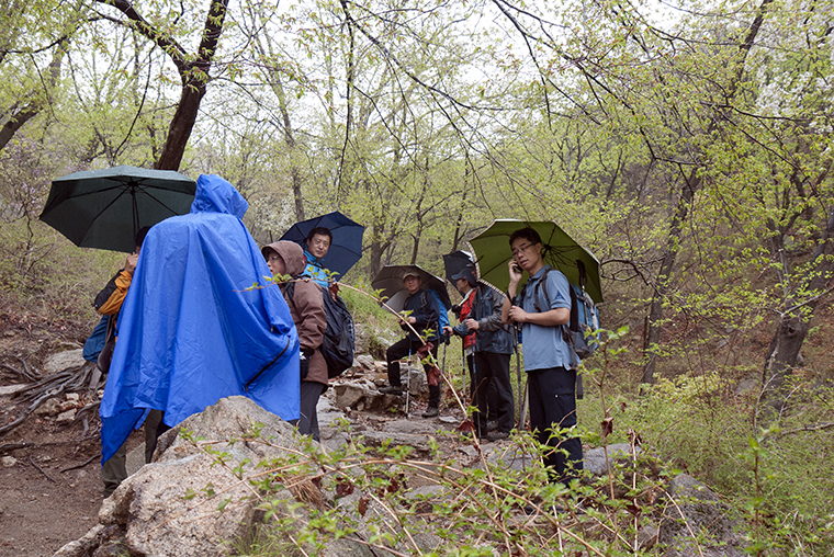 P1270524-1.jpg