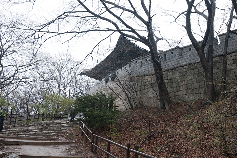 P1270540-1.jpg