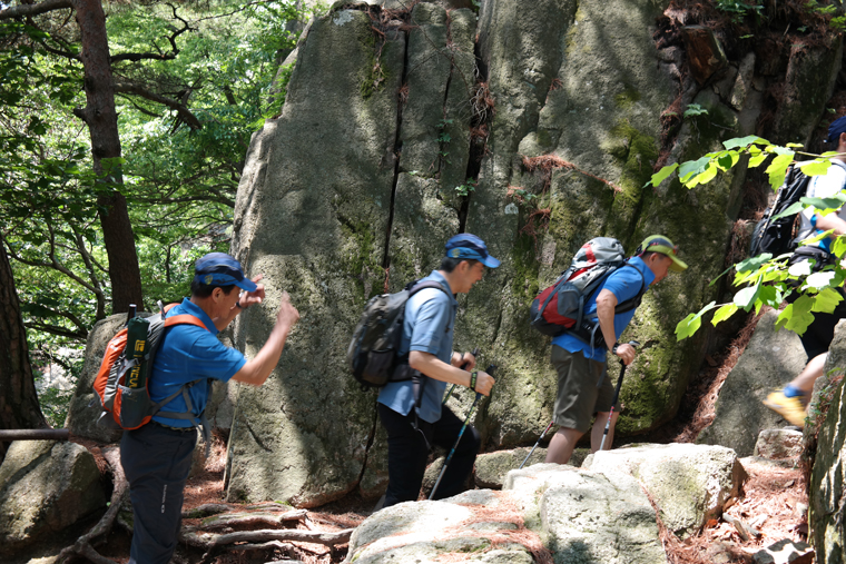 SAM_0940-1.jpg