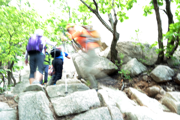 SAM_0978-1.jpg