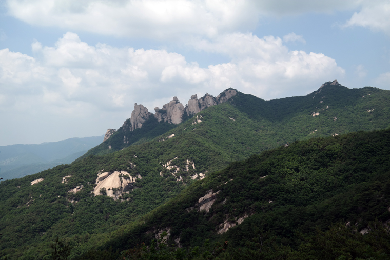 SAM_0993-1.jpg